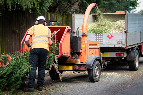 Best Firewood Processing and Delivery  in USA